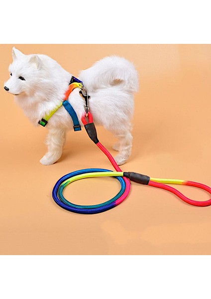 Gökkuşağı Dağcılık Halatı Medium Köpek Takım Tasma 12KG Max