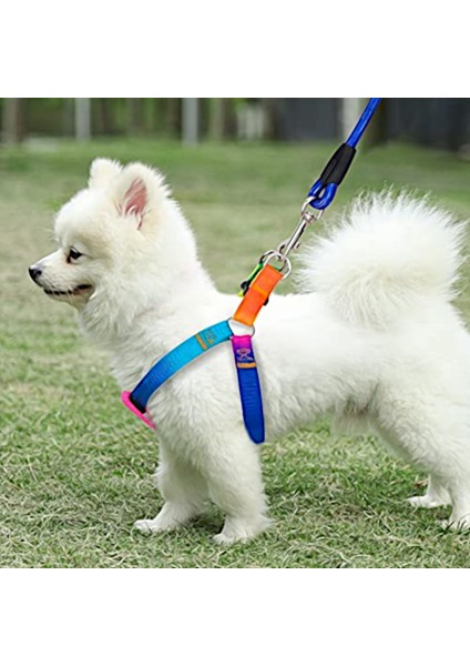 Gökkuşağı Dağcılık Halatı Medium Köpek Takım Tasma 12KG Max