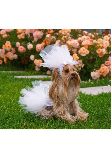 Pet Gelinlik ve Duvak Köpek ve Kedi Için Düğün Nikah Nişan Evlilik Kıyafeti