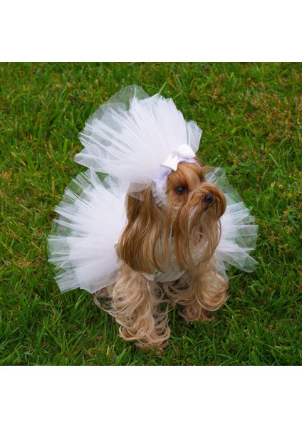 Pet Gelinlik ve Duvak Köpek ve Kedi Için Düğün Nikah Nişan Evlilik Kıyafeti