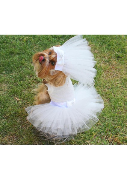 Pet Gelinlik ve Duvak Köpek ve Kedi Için Düğün Nikah Nişan Evlilik Kıyafeti