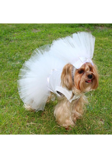 Pet Gelinlik ve Duvak Köpek ve Kedi Için Düğün Nikah Nişan Evlilik Kıyafeti