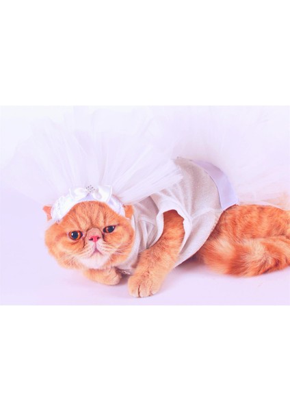 Pet Gelinlik ve Duvak Köpek ve Kedi Için Düğün Nikah Nişan Evlilik Kıyafeti
