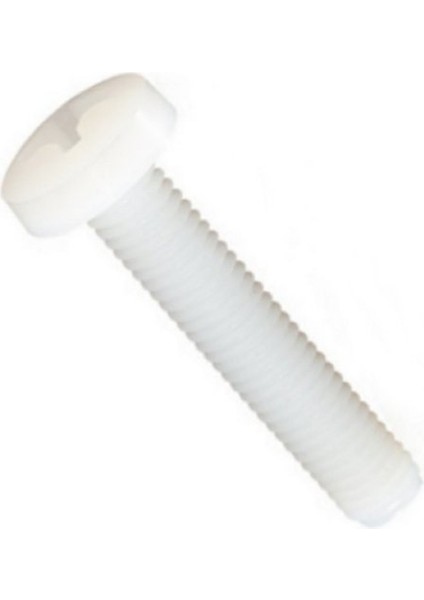 M6X50 Ysb Plastik Vida (25 Adet) fiyatları