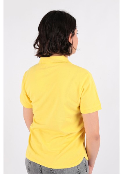 BNT-W-3WG9D3008-23Y Kadın Polo Yaka T-Shirt fırsatları