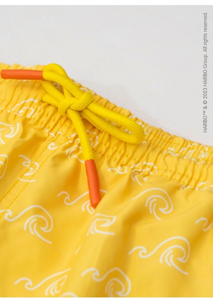 Sarı Erkek Çocuk Şort Mayo HRBSWM005 modelleri