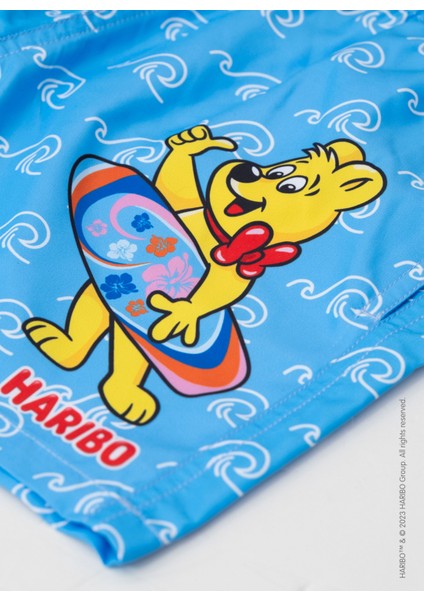 Mavi Erkek Çocuk Şort Mayo HRBSWM005 modelleri