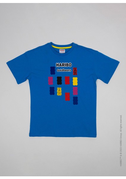 Baskılı Lacivert Erkek Çocuk T-Shirt HRBTXT008 modelleri