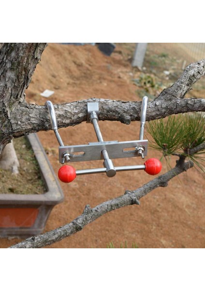 Bonsai Şube Bagaj Bender Ağaç Şube Regülatörü Bonsai Kesici Bahçesi (Yurt Dışından)