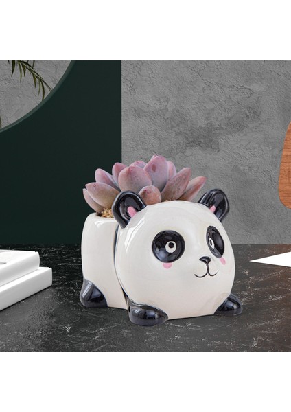 Seramik Hayvan Etli Ekici Pot Kapalı Açık Mekan Bahçe Panda Için El Yapımı (Yurt Dışından)