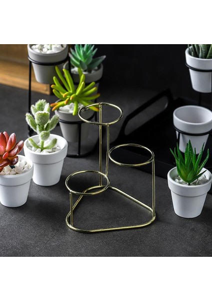 Stand Flowerpot Minyatür Balkon Hediye Koleksiyonu İle Etli Tencereler (Yurt Dışından)