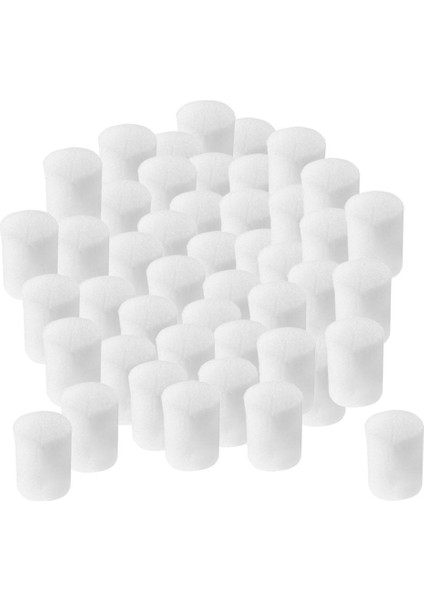 50pcs Sebze Dikim Sünger Köpükler Bahçe Bitkileri Çimlenme Kitleri Bahçe 19 X 25mm (Yurt Dışından)
