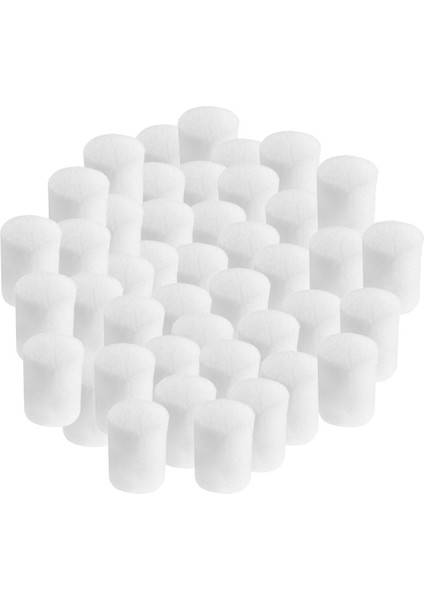 50pcs Sebze Dikim Sünger Köpükler Bahçe Bitkileri Çimlenme Kitleri Bahçe 19 X 25mm (Yurt Dışından) fiyatları