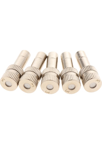5pcs 0.3mm Düşük Basınçlı Nozul 6mm Sis Memesi Sulama Aracı Iki 0.3mm (Yurt Dışından)