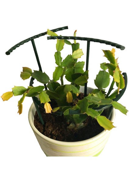 Plastik Bitki Asma Çerçeve Tırmanma Kafes Çiçek Salatalıkları Tencere Bahçe Aletleri 6pcs (Yurt Dışından)