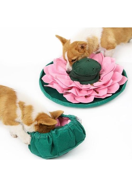 Pet Koklama Mat Snuffle Mat Pet Köpek Bulmaca Oyuncaklar Yavaş Besleme Gıda Mat Köpekler Için Nosework Köpek Kase Mat Kedi Yavrusu Keyifli | Evler, Kennels & Amp;kalemler (Yurt Dışından)