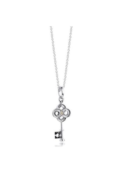 Anahtar Çiçek Kolye Kız Arkadaşlar Collier Doğum Günü Sevgililer Günü Uzun Zincir Kadınlar Için 100% Gerçek Gümüş S925 Kolye | Zincir Kolyeler (Yurt Dışından) fiyatları