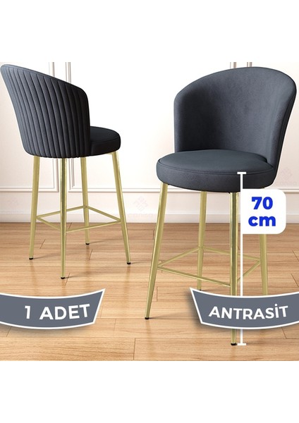 Concept Fora Serisi 1 Adet Babyface Kumaş Gold Kaplama Metal Ayaklı Ada Mutfak Bar Sandalyesi