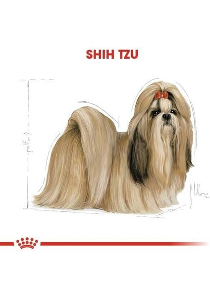 Shih Tzu Yetişkin Köpek Maması 1.5 kg