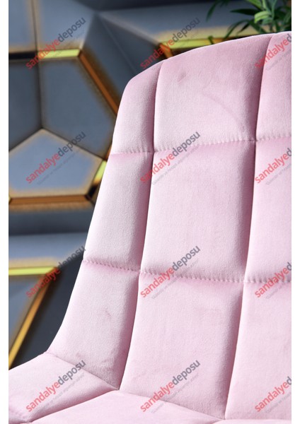 2 Krom Ayaklı Çalışma Koltuğu (Pembe Kumaş)