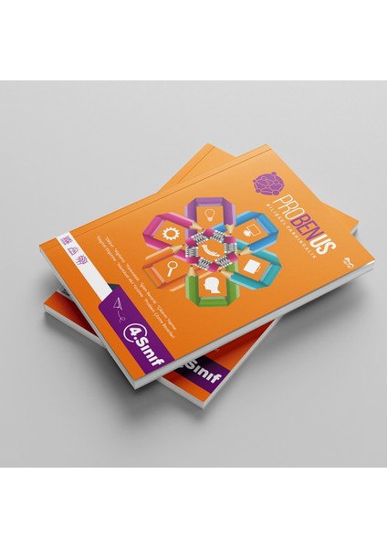 Probenus 4.sınıf Bilişsel Farkındalık