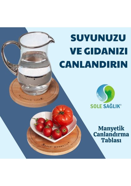 Canlandırma Tablası 20 Cm