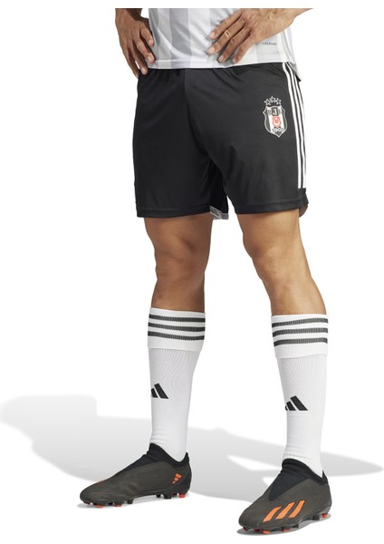 Beşiktaş 2023/2024 Iç Saha Şortu Erkek Beşiktaş 2023/2024 Iç Saha Şortu HY0332 Siyah