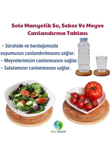 Canlandırma Tablası 20 Cm fırsatları