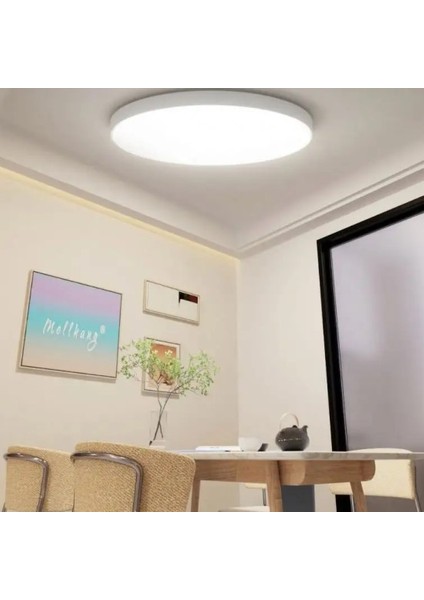 Lux Home Tavana Sıfır Yuvarlak LED Panel Spot Lamba Glop Aplik Armatür Avize 6500K Beyaz Renk