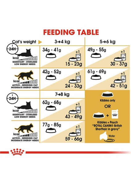 British Shorthair Yetişkin Kuru Kedi Maması 2 kg