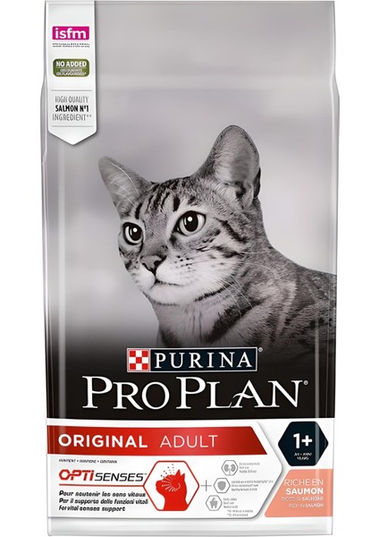 Adult Somonlu Yetişkin Kuru Kedi Maması 10 kg