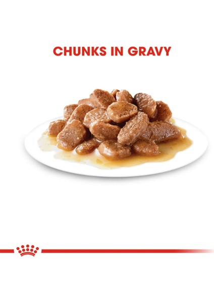 Instinctive gravy Kedi Konservesi 12 x 85 gr