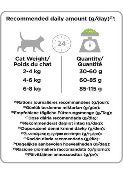 Delicate Yetişkin Kuzulu Kedi Maması 3 kg fırsatları