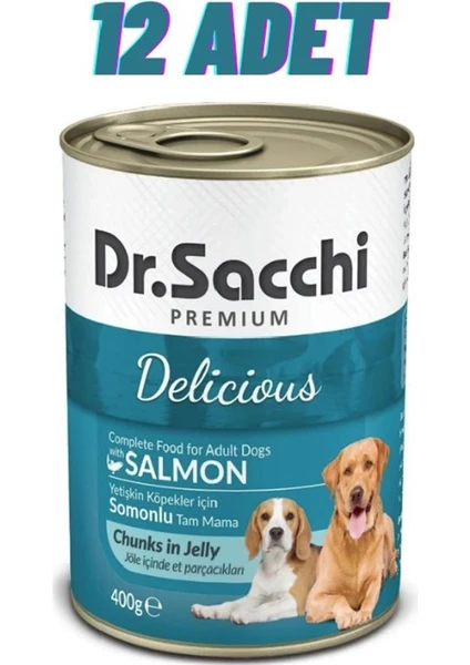 Dr. Sacchi Somonlu Köpek Konservesi 12X400 gr