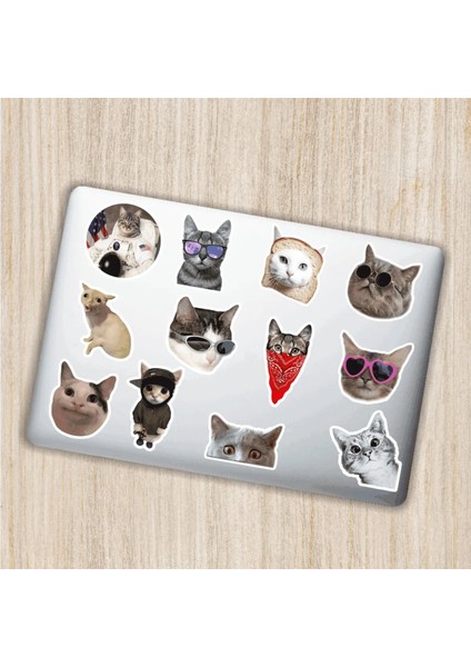 Kedi Cat Tasarımlı Laptop Notebook Tablet Telefon Sticker Set 20 Quart Aksesuar