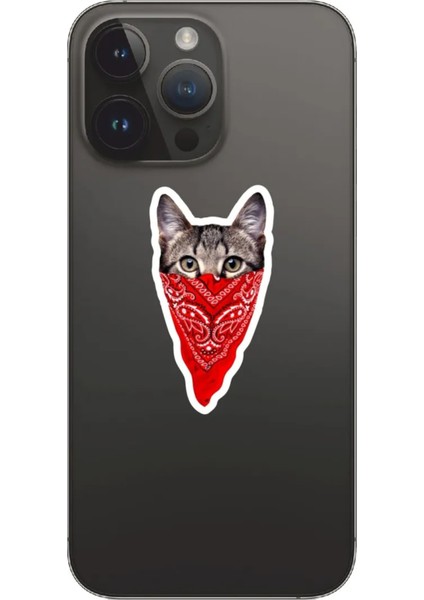 Kedi Cat Tasarımlı Laptop Notebook Tablet Telefon Sticker Set 20 Quart Aksesuar