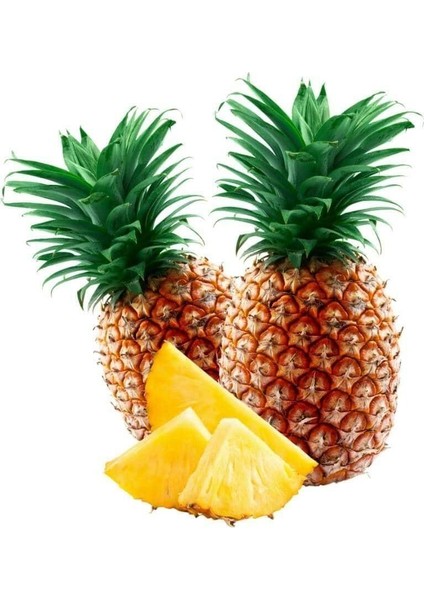 Saksıda Ananas Meyvesi Fidanı (Queen Cinsi)