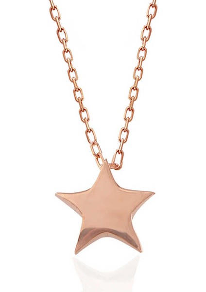 Gümüş Rose Yıldız Kadın Kolye