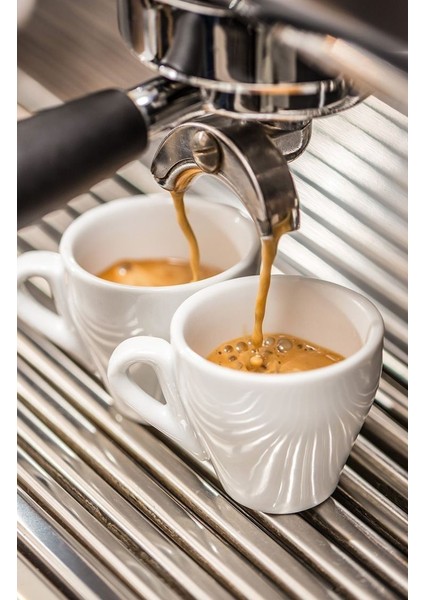 Alesta Espresso Blend Çekirdek Kahve 1000 gr
