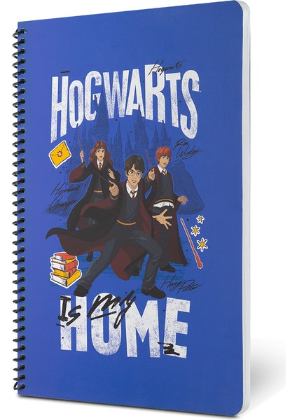 Lisanslı Okul Defteri Seti 2 Adet Kareli x 80 yaprak fiyatları