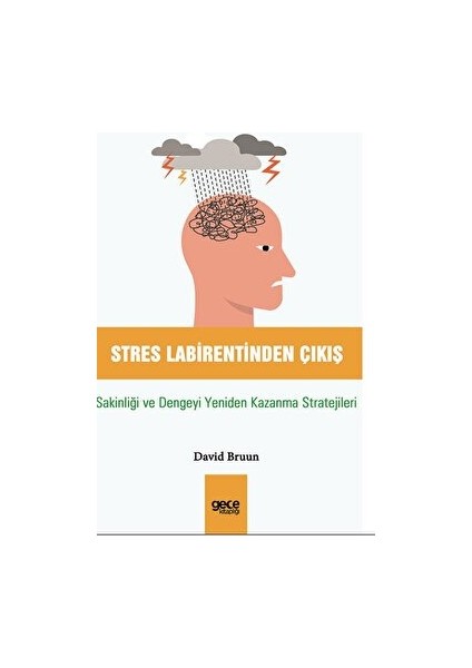 Stres Labirentinden Çıkış - David Bruun