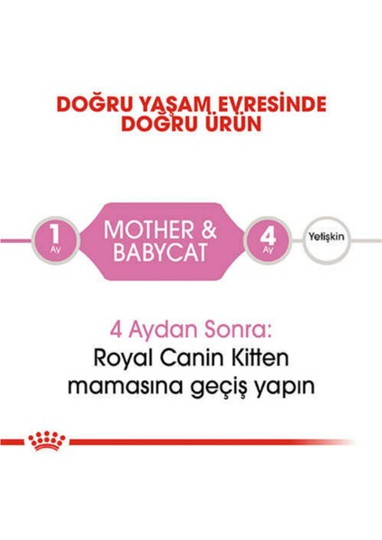 Mother & Babycat Yavru Kuru Kedi Maması 4 kg