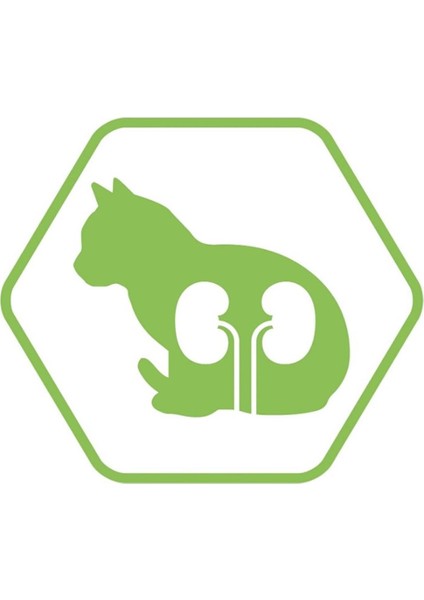 Kısırlaştırılmış Somonlu Yetişkin Kedi Maması 3 kg indirimleri