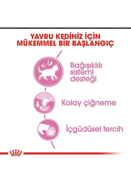 Royal Canin Kitten Jelly Yavru Kedi Konserve 85 gr