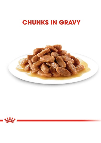 Kitten gravy Yavru Kedi Konservesi 12 x 85 gr