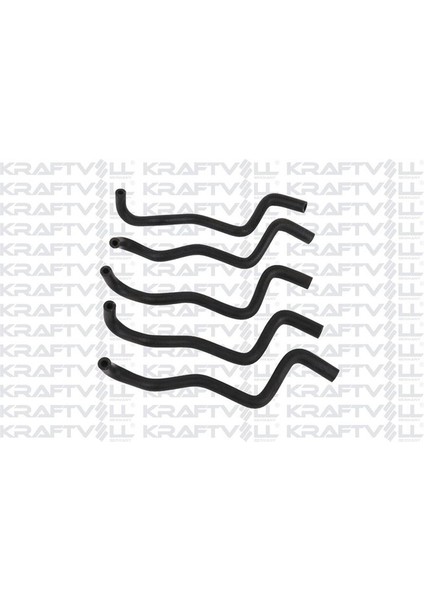 Genlesme Sise Hortumu Clio Iii Modus 1.2/1.4/1.6/2.0 16V/1.5DCI Kraftvoll 10032721 Oem