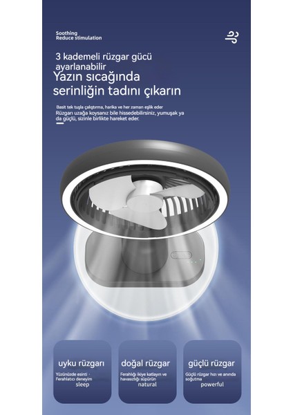Masaüstü Küçük Fan Mini Taşınabilir Şarj Edilebilir USB Ev Masaüstü Fanı (Yurt Dışından)