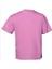 Hmlhelenium SS Kadın Mor T-Shirt 911727-9857 3