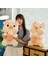 34CM Yaratıcı Karikatür Domuz Bebek Yastık Peluş Oyuncak (Yurt Dışından) 3