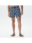 Erkek Lacivert Baskılı Deniz Şortu T35512T.4NV 3